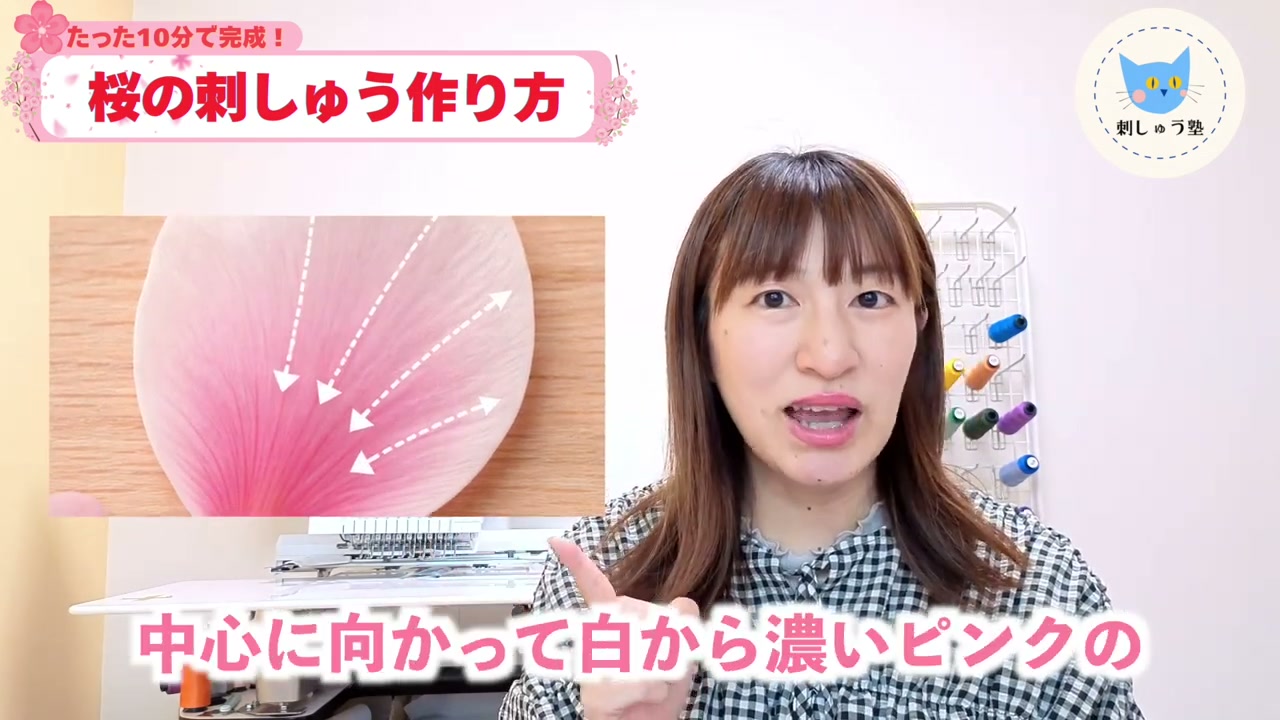 桜の花びら 白からピンクへのグラデーション